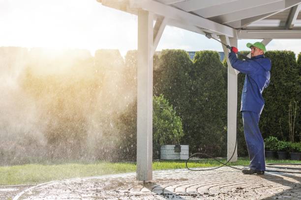 Best Gutter Cleaning  in Hasson Heights, PA